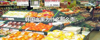 ​韩国水果为什么那么贵