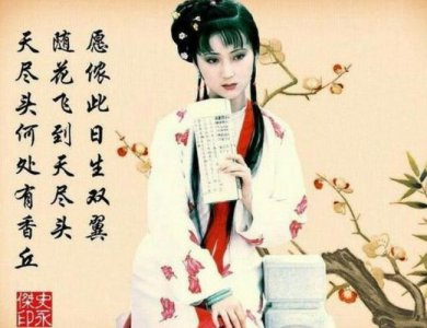 ​红楼梦的《葬花吟》及其大意