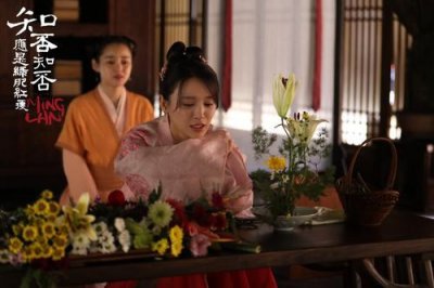 ​《知否》番外：墨兰试图将5个女儿嫁回娘家，长柏誓死不从