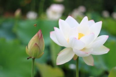 ​特殊意义小众的英文ID大全精选129个