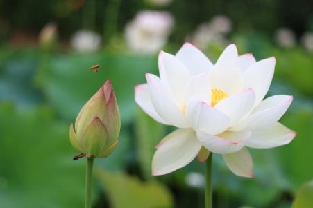 特殊意义小众的英文ID大全精选129个