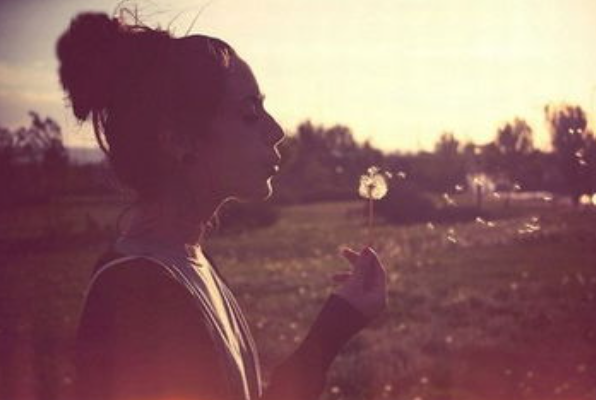 1691079222942998.png image.png