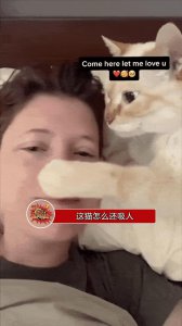 ​00后男生深夜被猫狂吸4个小时，猫：人瘾犯了