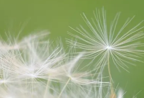 1683100383115273.png image.png
