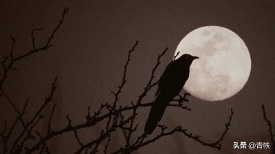 ​名句 | 钱钟书《围城》“天下只有三分月色”