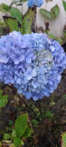 ​探秘四川石邡市钟鼎寺：山水间的文化瑰宝