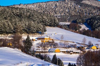​一个默默无闻的山东移民村，凭什么被叫“中国雪村”？去了才知道