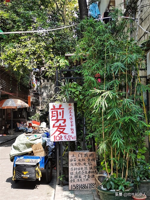 大锐锐摄影9:广州老城区生活气息浓厚,先不谈钱,你愿意住这吗