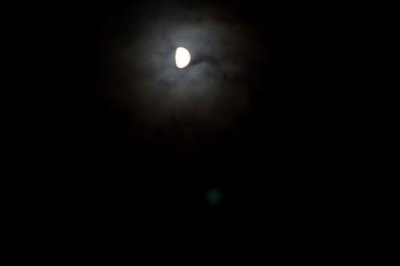 ​老人们所说的鬼火，其实就是磷火，不知道有多少人见过？