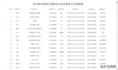 ​神州辉煌决赛：近八千羽赛鸽严寒中争锋，熙园鸽业拿下千万大奖