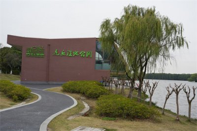 ​苏州的秋天（十）- 虎丘湿地公园，候鸟的家园，跑步者的乐园