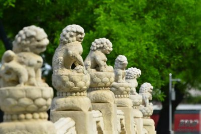 ​故宫门前的石狮子为何都烫着卷发？