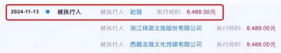 ​赵薇为何债务缠身？曾经身价60亿，为何因8488元成为被执行人？
