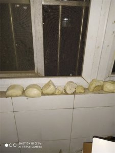 ​「自制鱼饵」手把手教你做老坛窝料，还在网上买？