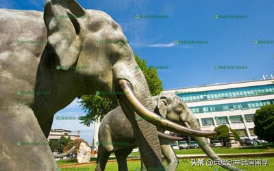 ​韩国大学介绍 | 东国大学为何被称为内卷清流？