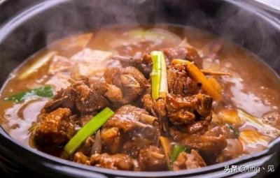 ​美食推荐：啤酒焖大鹅，萝卜炖大鹅，制作简单又美味