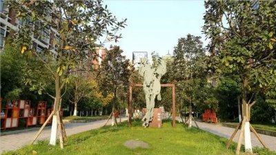 ​重庆名校一览 | 江北优质初中徐悲鸿中学校