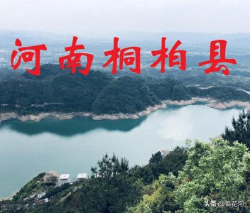 ​214.河南省桐柏县的概况