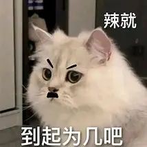 表情包 的图像结果