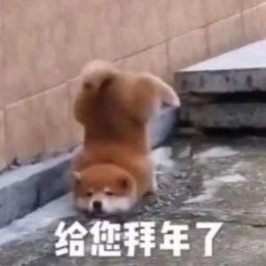 ​定了！开行城际动车！抚州站、南丰站始发！往返南昌！（附时刻表）