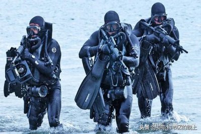 ​美国有多少支特种部队？