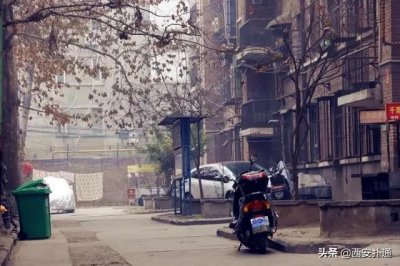 ​这届西安年轻人，为什么看好城西？
