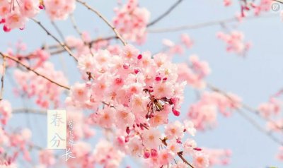 ​昨起42家景区门票降价，春季边吃边看边玩全攻略！