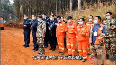 ​云南发现奇特毒蛇：虎斑颈槽蛇会“炼毒”