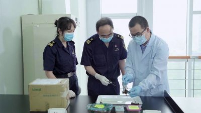 ​海关拦截3只活体昆虫，为境外物种长戟犀金龟，号称“大力神甲虫”