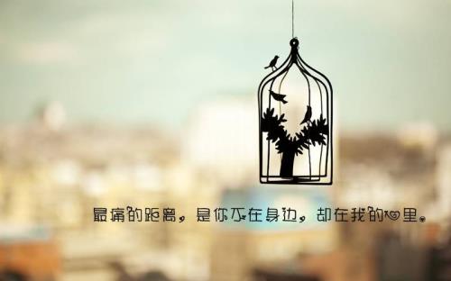 想念却不敢打扰的句子精选