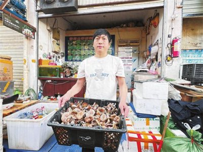 ​铜绿菌上市了 你想尝尝吗
