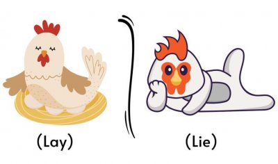 ​用正确的方式使用“lie”和“lay”，成为英语高手！
