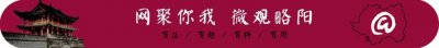 ​数字略阳 | 销往全国！略阳浆水菜也有了生产线→