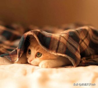 ​老外常说的“I'm into you”，英语到底啥意思？别乱猜
