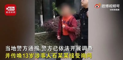 ​13岁男孩猥亵多名幼童，业主发声