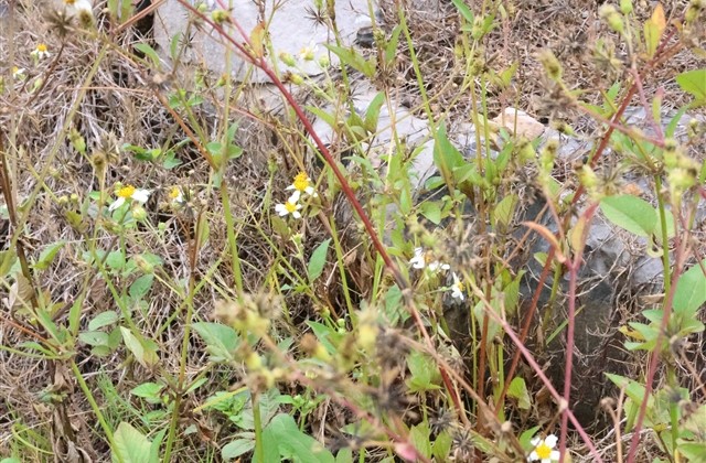 网名女生简单气质成熟 网名女生简单气质成熟