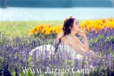 描写春天迎春花的句子57句