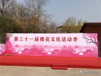 ​北京玉渊潭樱花节开幕了，快和小伙伴一起来赏花！