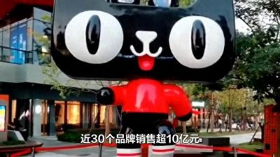 ​双11购物狂欢节迎来收官之战，各大品牌销售再创新高。