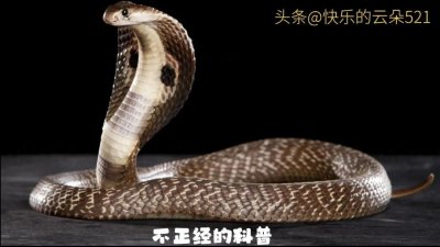 ​夫妻交换：道德边界的探索