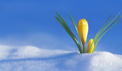 ​大雪节气文案短句干净治愈 2026大雪发朋友圈的唯美句子