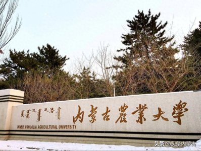 ​择校必看丨金色的憧憬，绿色的希望——内蒙古农业大学