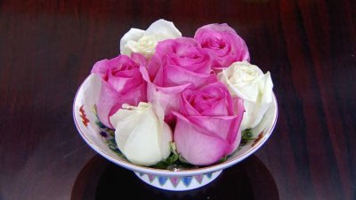​“立春吃花一年都发” 春天必吃的4种花你吃过吗？