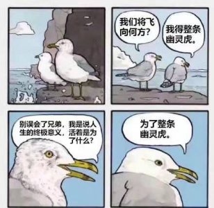​魔兽TBC：幽灵虎烂大街，神壕20只成批购入，妻管严玩家出绝招
