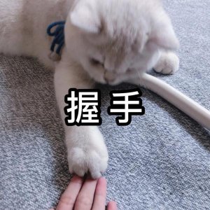 ​6月底完工，今秋招生！青岛这里新添一所高校