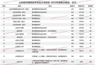 ​数字媒体技术专业大学排名 2023年山东录取分数线、位次