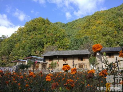 ​“天然氧吧”柞水朱家湾您去过吗？房子会“呼吸”