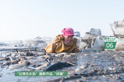 ​雄安早知道（2019年9月6日）：外嫁女、独生子女咋补偿？雄安征迁安置有了统