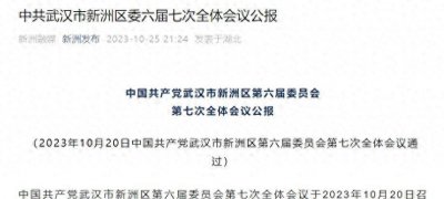 ​京九高铁进一步扩展！武汉市新洲西站规划即将实施！