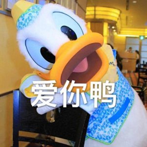 ​加油鸭表情包，今天也要加油鸭